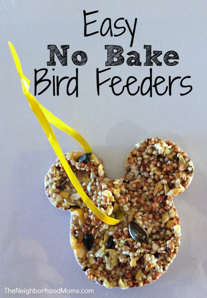 Diy Bird Feeder For Kids
 Easy No Bake Bird Feeders The Neighborhood Moms