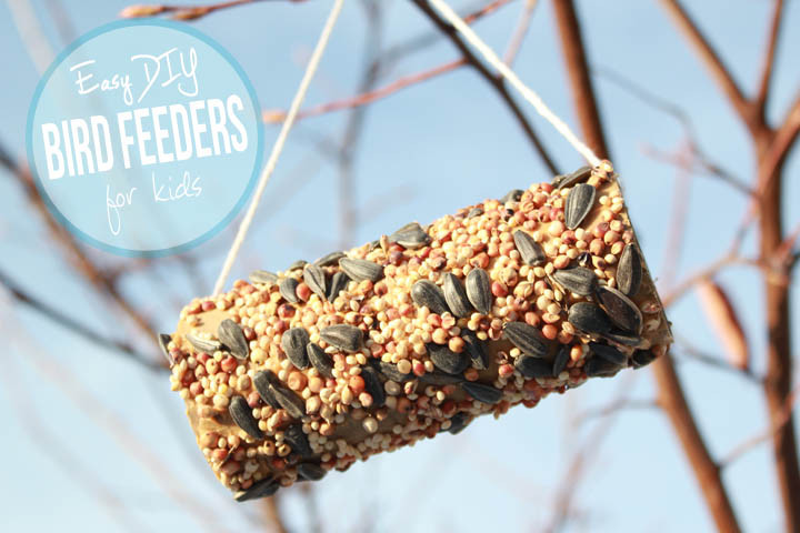 Diy Bird Feeder For Kids
 Kid made DIY bird feeders The Many Little Joys