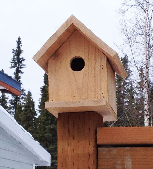 DIY Birdhouses For Kids
 Build a Cedar Birdhouse for $2