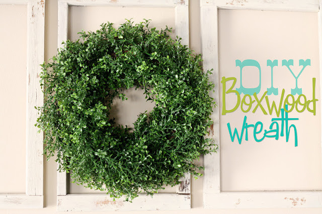DIY Boxwood Wreath
 Lovely Little Snippets DIY Boxwood Wreath