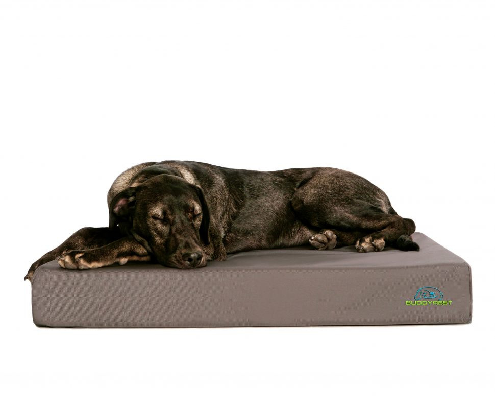 DIY Chew Proof Dog Bed
 Diy Chew Proof Dog Bed korrectkritters