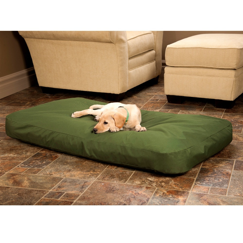 DIY Chew Proof Dog Bed
 Bedroom Fetching Dura Dog Bed Chew Proof Petco Diy Amazon