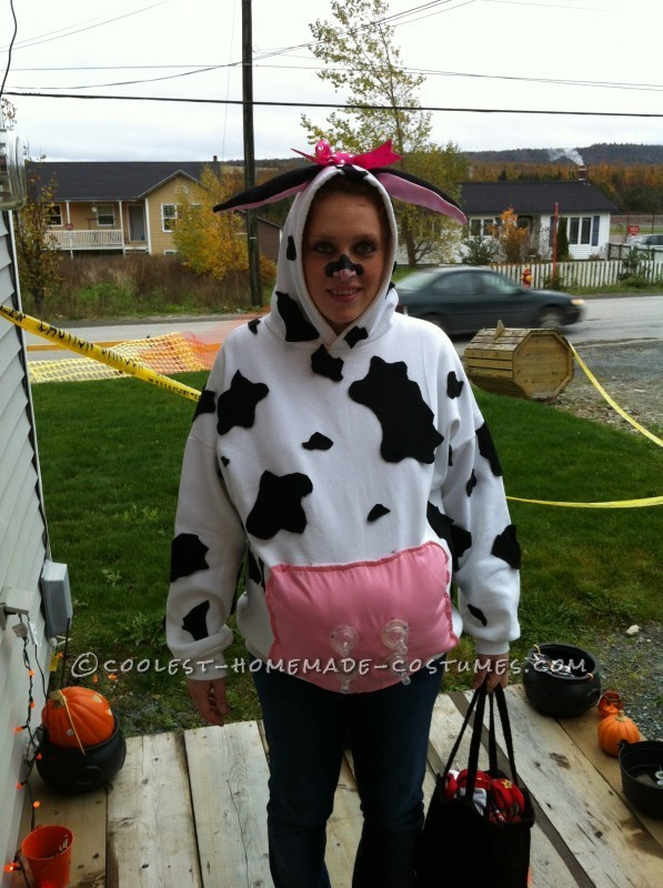 DIY Cow Costume For Adults
 Halloween Costumes For Pregnant Women 2013 23 Amazing