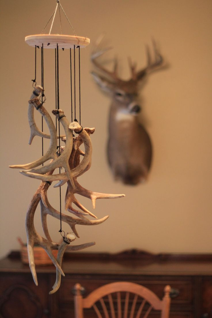 DIY Deer Antler Decor
 If you are a shed hunter or have some antlers around that