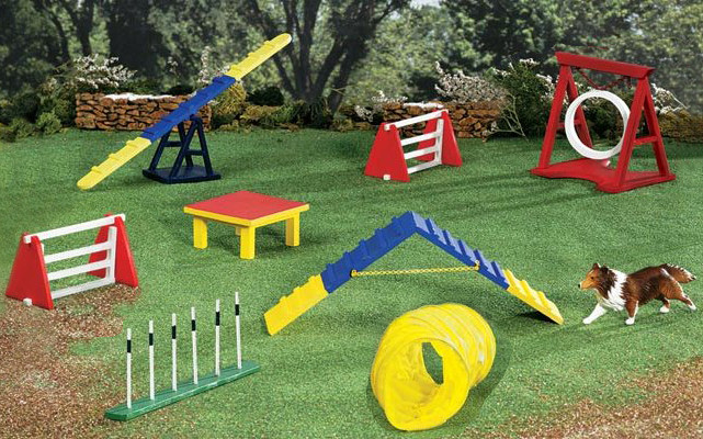 DIY Dog Agility Course
 Much Needed Outrageous and Over the Top Pet Amenities for