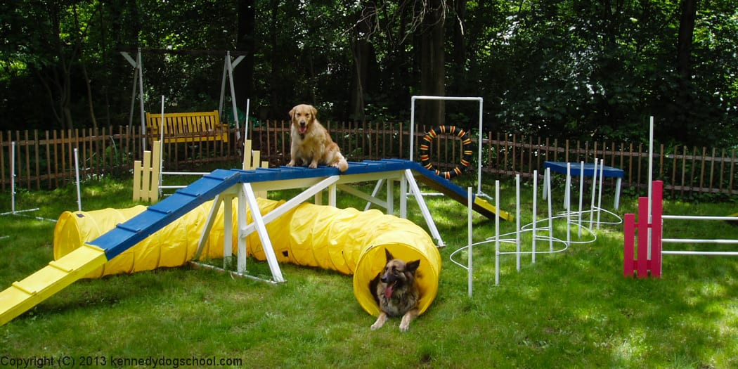 DIY Dog Agility Course
 18 Simple And Sweet Ways To Rediscover Your Childhood With