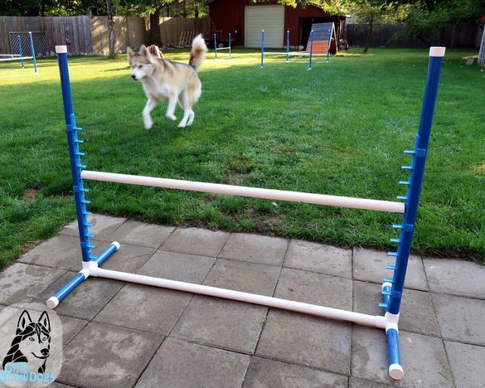 DIY Dog Agility Course
 9 DIY Dog Agility Courses Homemade Agility Obstacles For