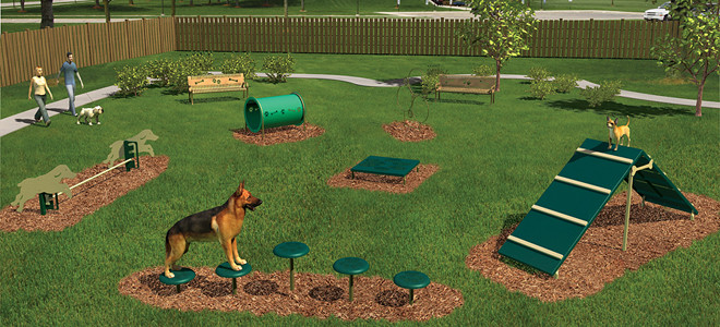 DIY Dog Agility Course
 Dog Park Playground Equipment