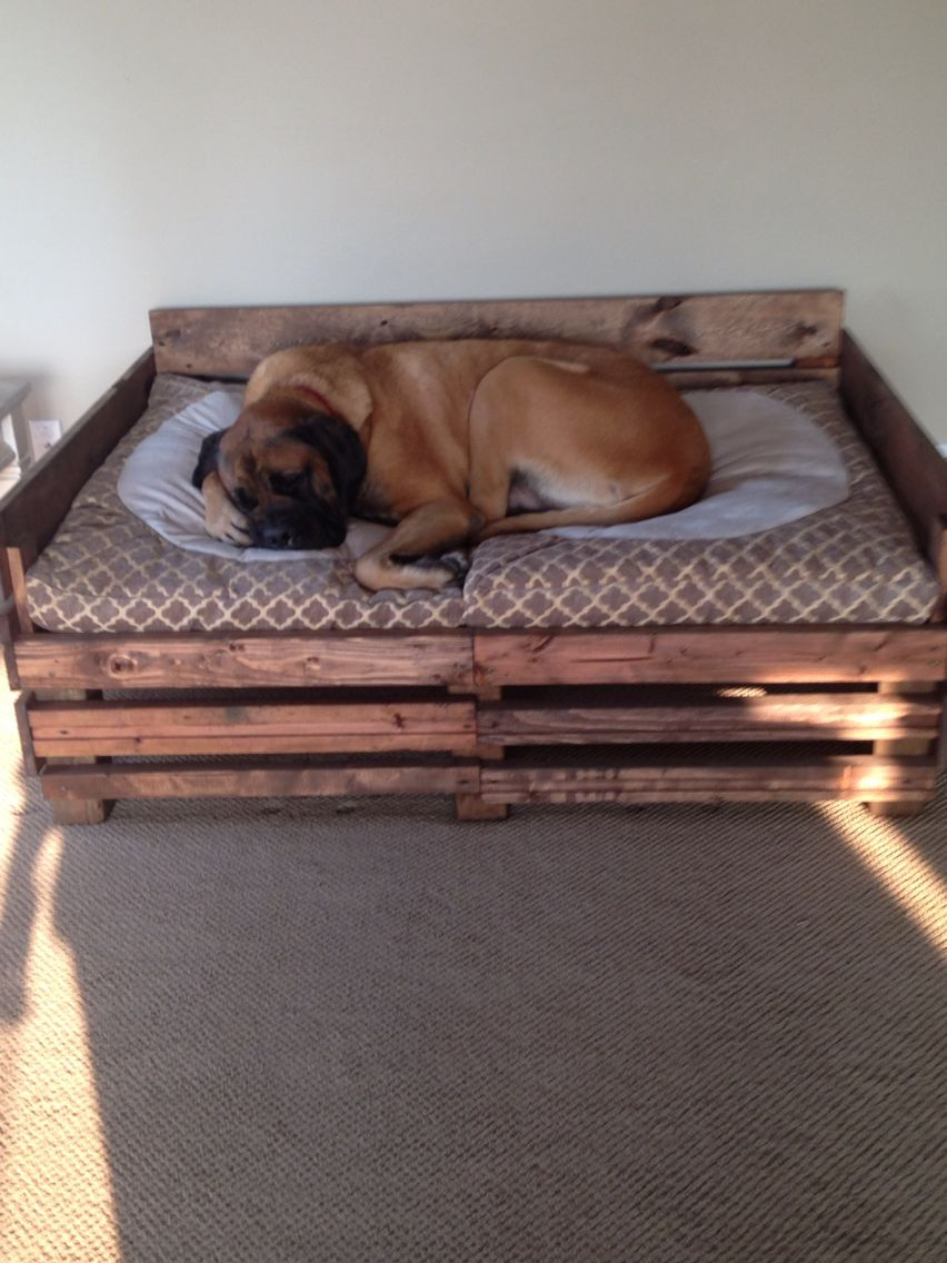 DIY Dog Bed For Big Dogs
 Pin by Jennifer Slat on dog