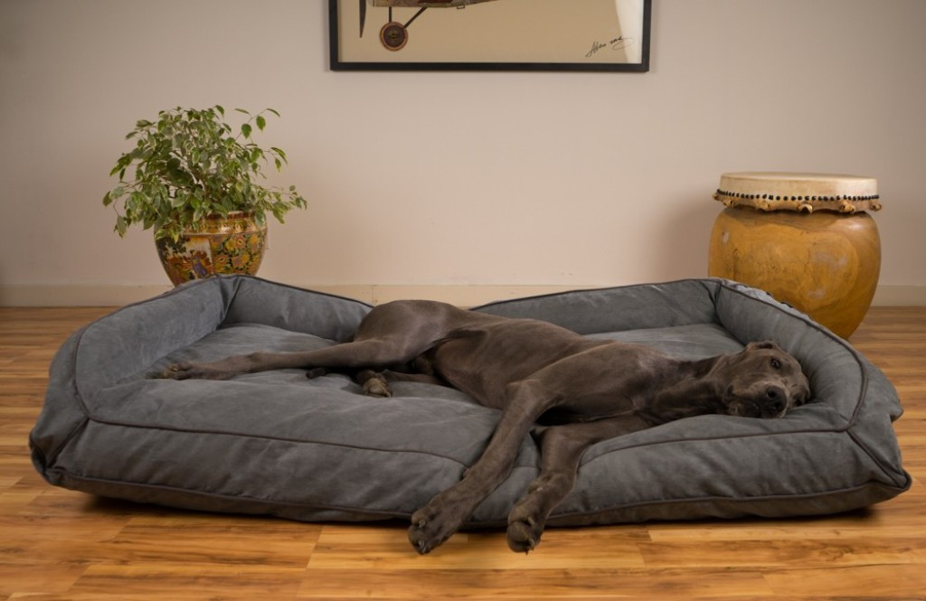 DIY Dog Bed For Big Dogs
 Best Dog Beds Ideas Pinterest Dog Bed Diy