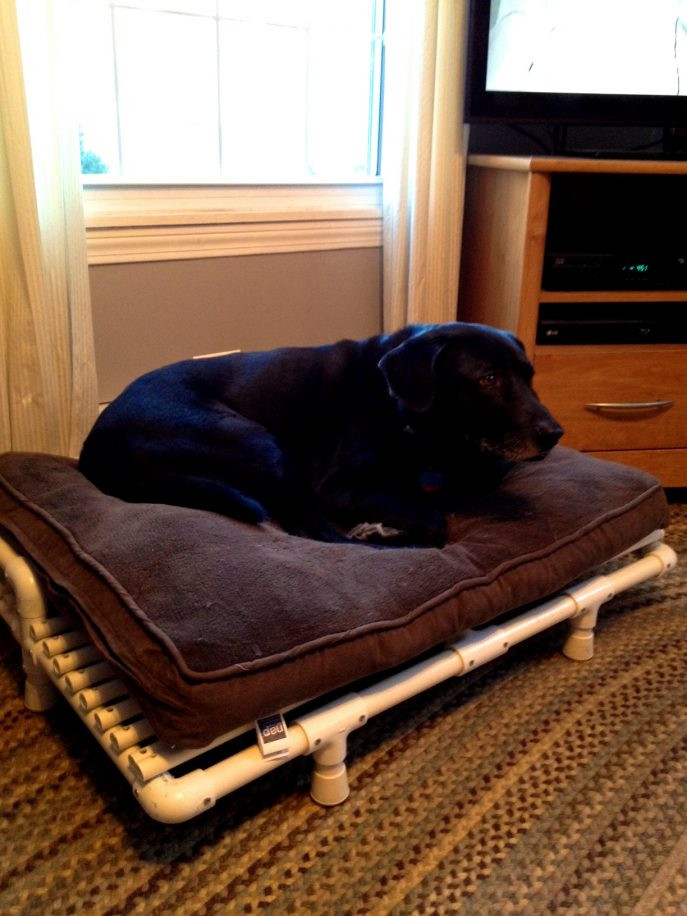 DIY Dog Bed For Big Dogs
 Elevated Dog Bed Diy Choose A Special Hammock Dog Bed