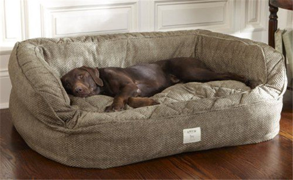 DIY Dog Bed For Big Dogs
 20 Perfect Diy Dog Beds Ideas for Your Furry Friend