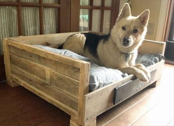 DIY Dog Bed For Big Dogs
 diy dog beds for large dogs