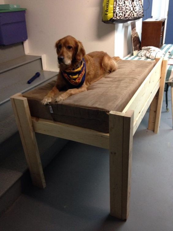 DIY Dog Bed For Big Dogs
 Dog bed