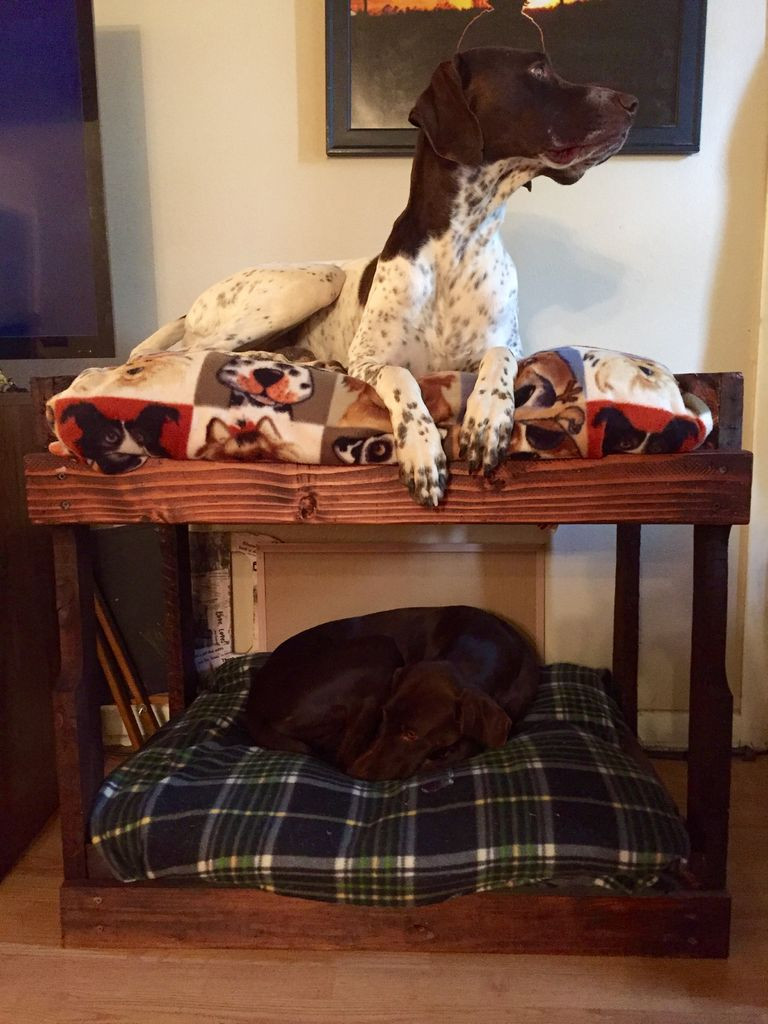 DIY Dog Bed For Big Dogs
 DIY Dog Bunk Beds 8 Steps with
