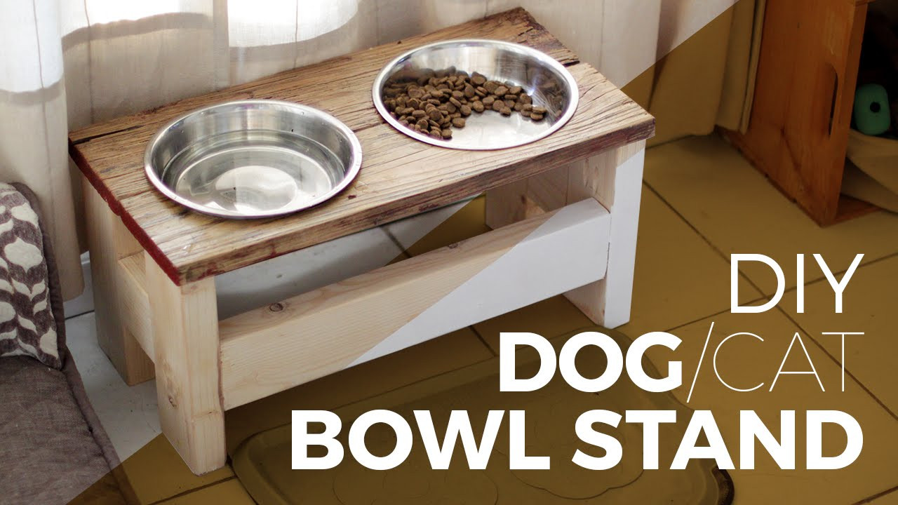 DIY Dog Bowl
 How to make a Dog Bowl Stand DIY or Cat