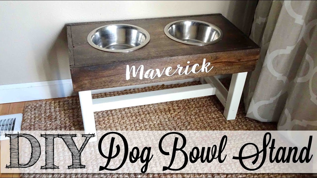DIY Dog Bowl
 DIY Dog Bowl Stand 🐾