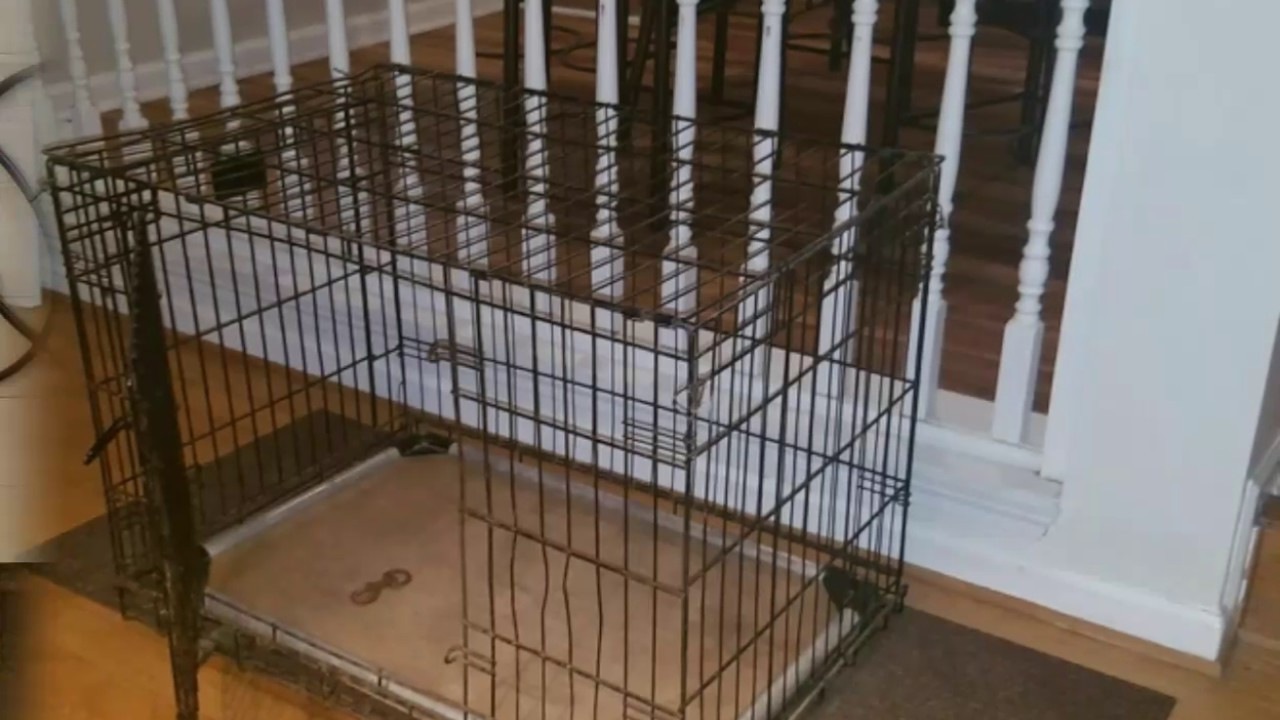 DIY Dog Cages
 DIY I hated the look of the big dog crate in my living