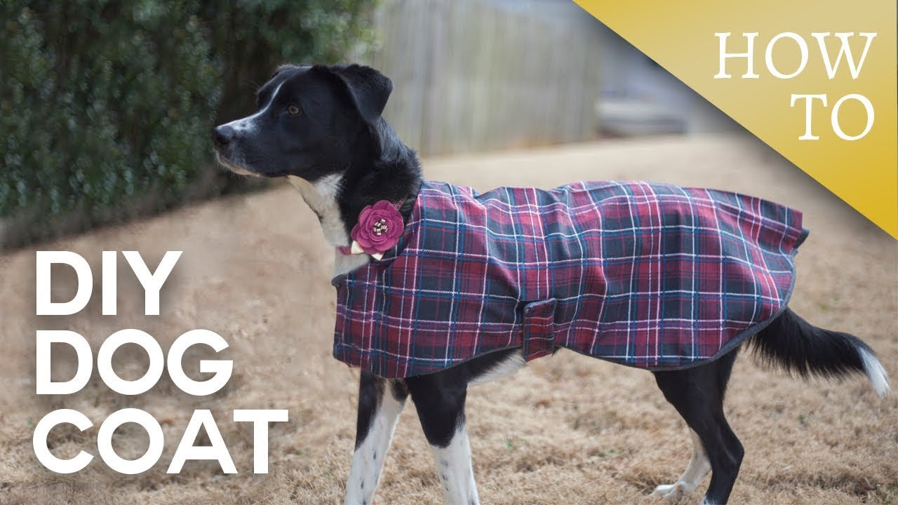DIY Dog Coat
 DIY Dog Coat Sew A Long