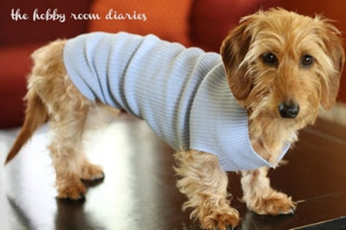 DIY Dog Coat
 40 Easy And Cuddly DIY Ideas For Recycling Old Sweaters