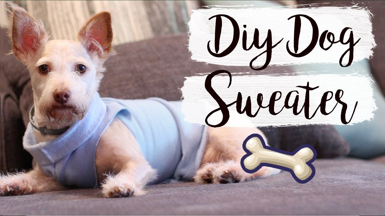 DIY Dog Coat
 Easy DIY Dog Sweater No Sew