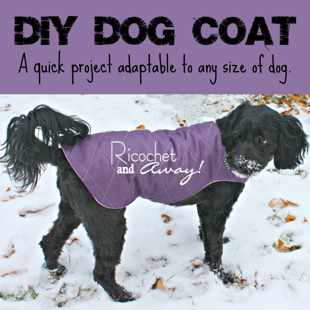 DIY Dog Coat
 Ricochet and Away DIY Dog Coat