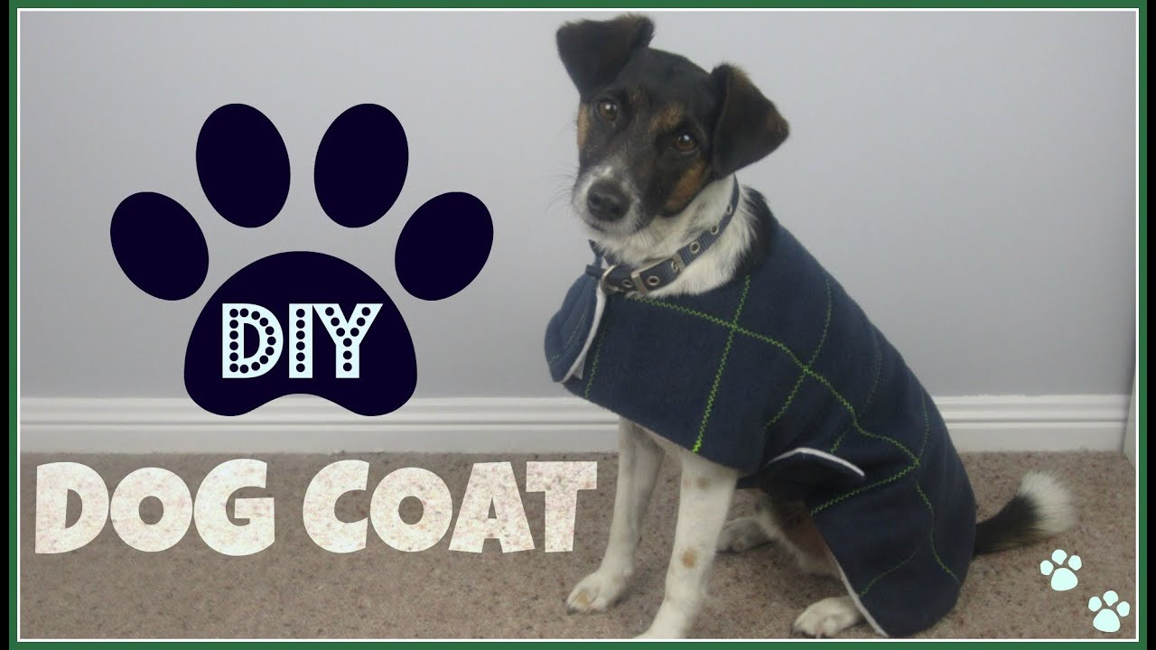 DIY Dog Coat
 Step by Step Sewing DIY Dog Coat