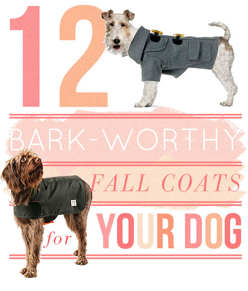 DIY Dog Coat
 10 Great Dog Coats DIY Projects – Design Sponge