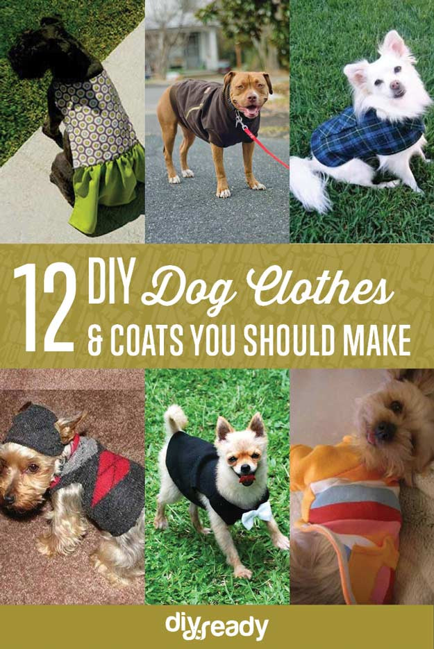 DIY Dog Coat
 12 DIY Dog Clothes and Coats DIY Ready