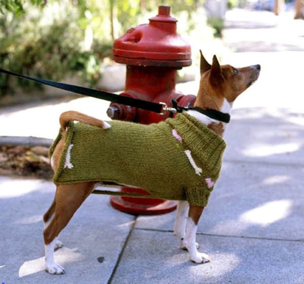 DIY Dog Coat
 The Tampopo Post hearts & bones dog sweater