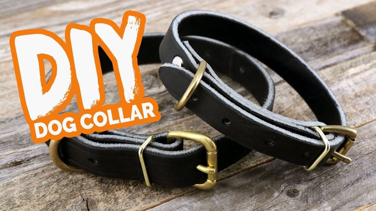 DIY Dog Collars
 DIY Leather Dog Collar