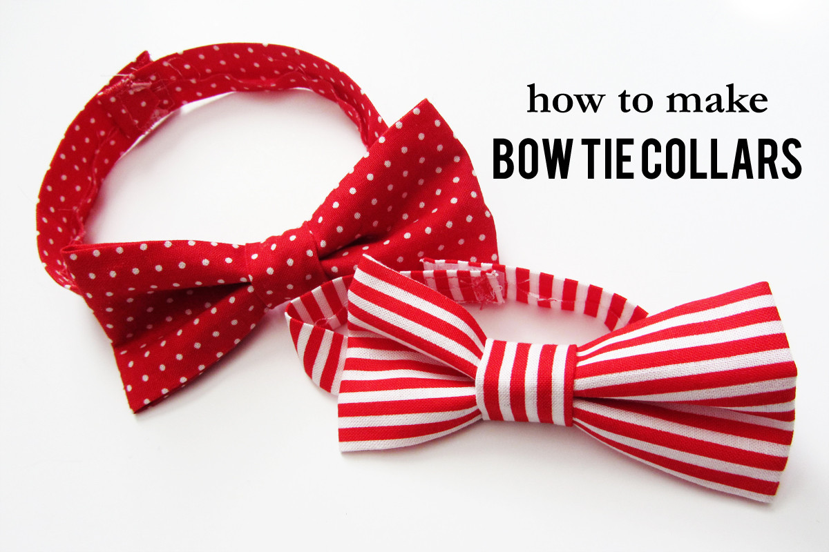 DIY Dog Collars
 valentine bow tie dog collar
