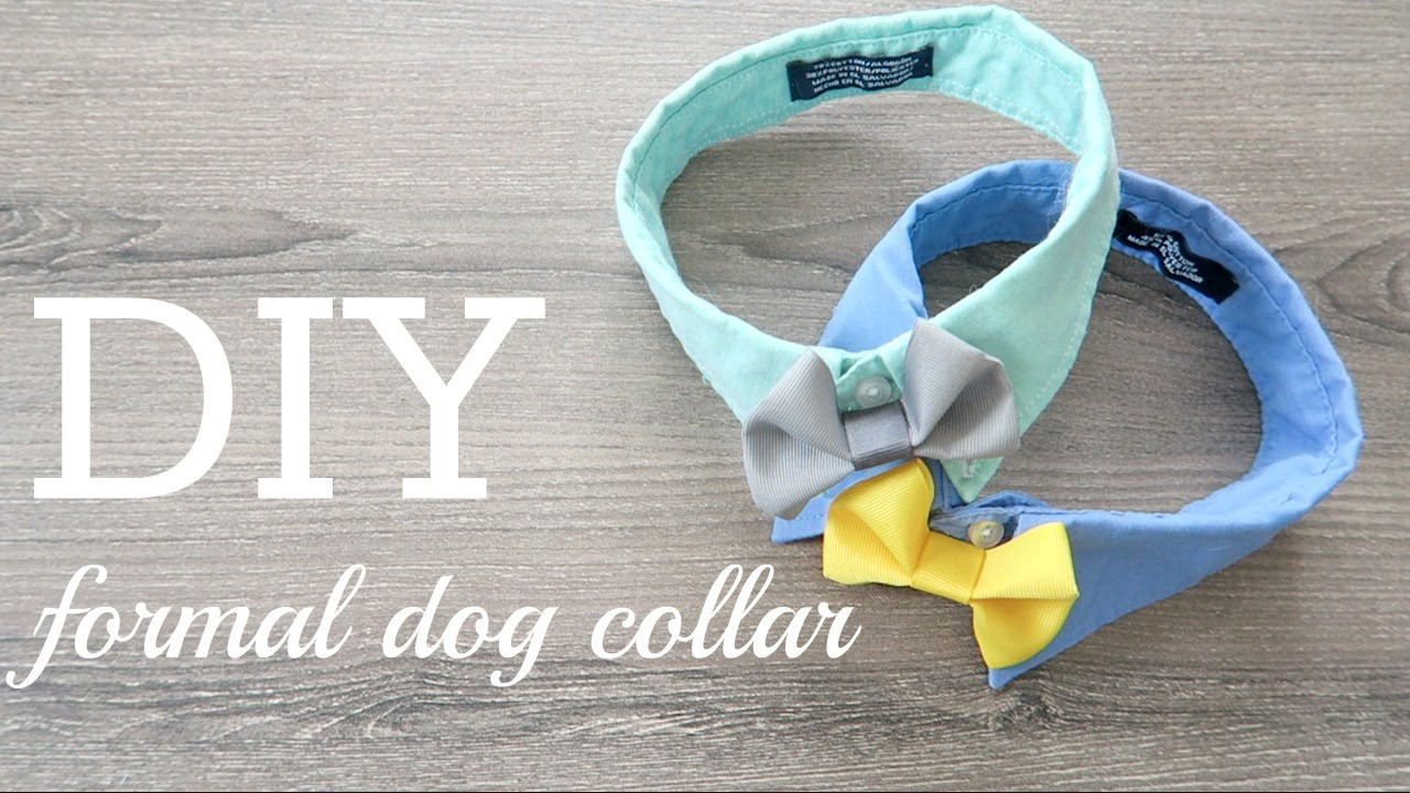 DIY Dog Collars
 DIY 3 Formal Dog Collar & Call for COLLAB