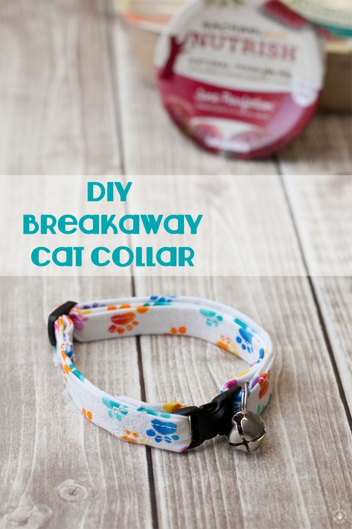 DIY Dog Collars
 How to Create a Homemade DIY Cat Collar