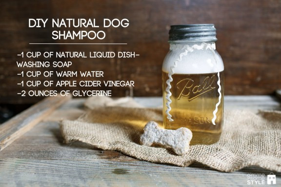 DIY Dog Conditioner
 DIY Natural Dog Shampoo Gimme Some Style