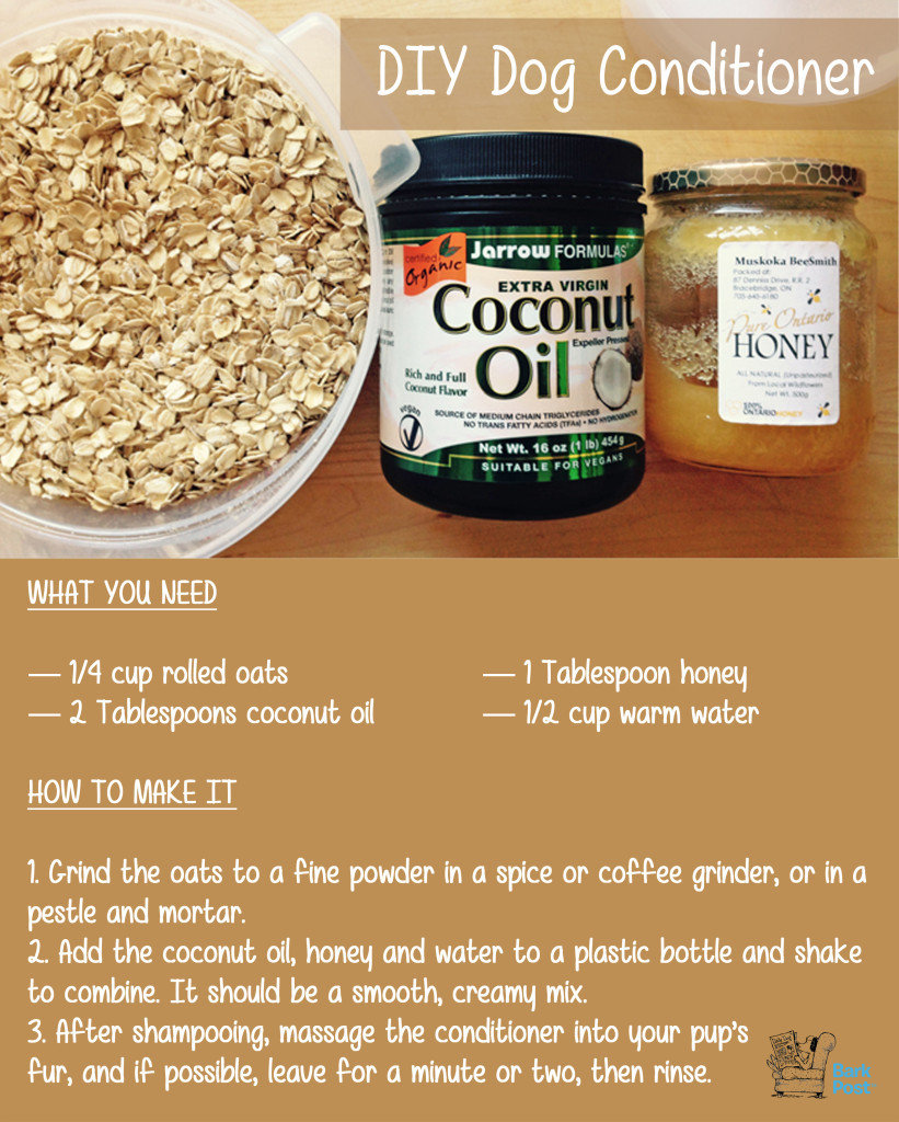 DIY Dog Conditioner
 21 Creative Ways To Use Coconut Oil for Dogs