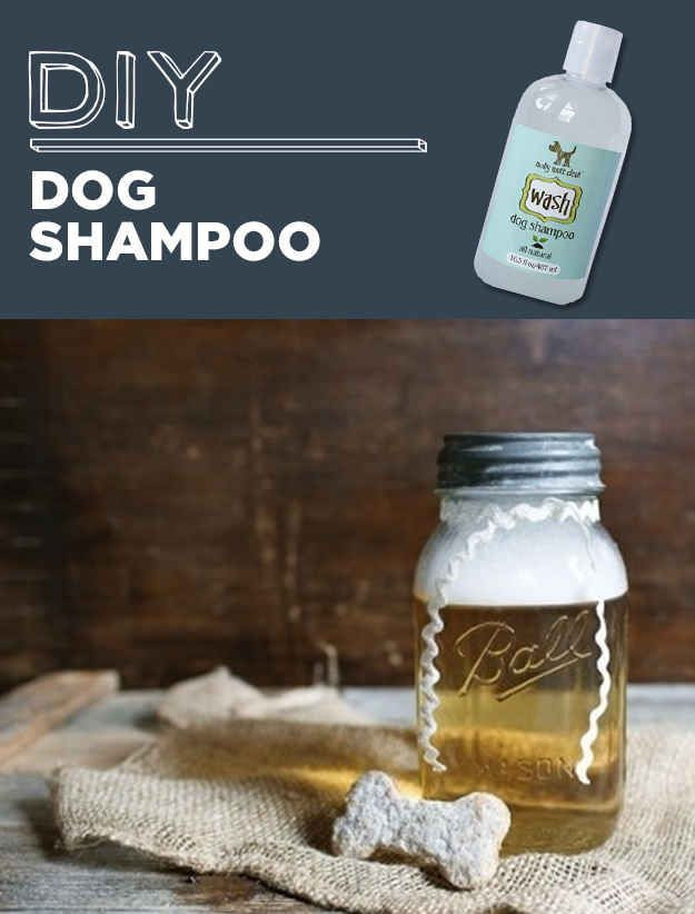 DIY Dog Conditioner
 Diy dog shampoo DIY and crafts and Skin care on Pinterest