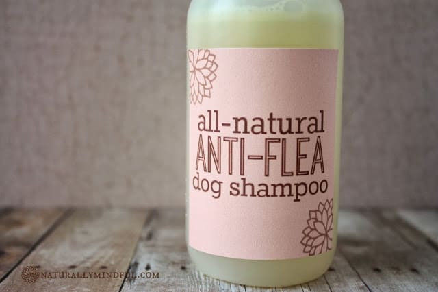 DIY Dog Conditioner
 12 DIY Dog Shampoos for Soft and Healthy Fur