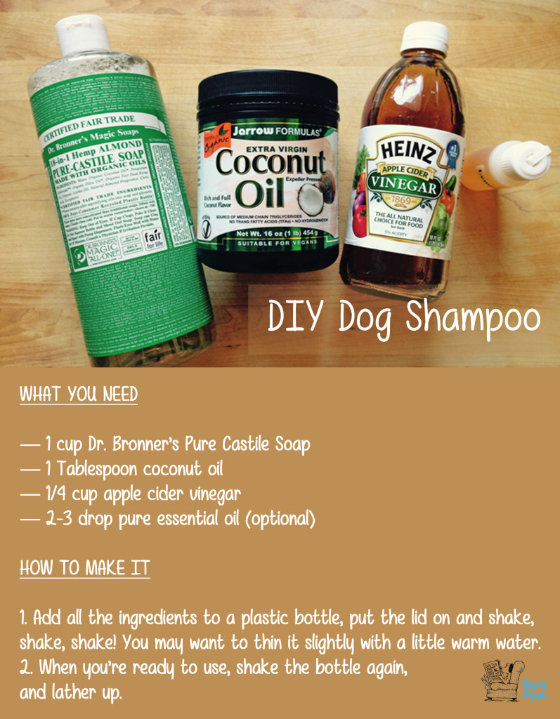 DIY Dog Conditioner
 5 All Natural DIY Grooming How Tos For Your Pup BarkPost