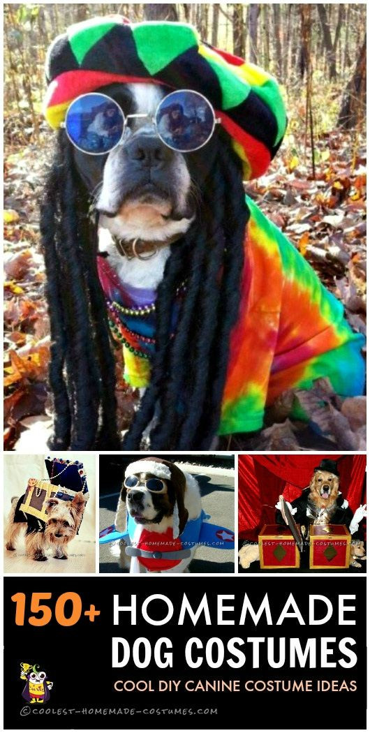DIY Dog Costume For Humans
 158 best Pet Halloween Costumes images on Pinterest