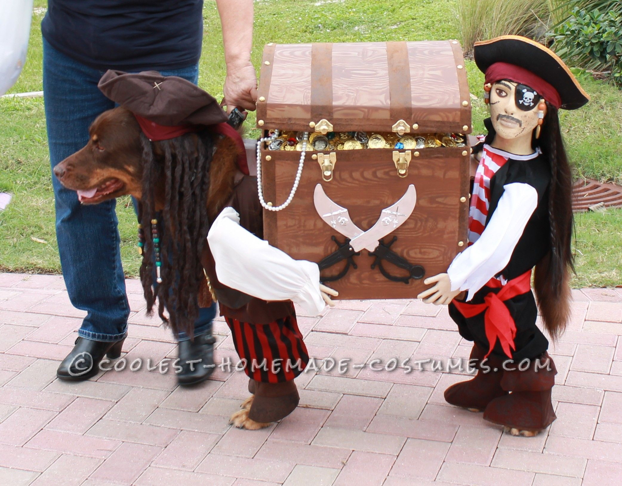 DIY Dog Costume For Humans
 Best Homemade Dog Pirate Costume