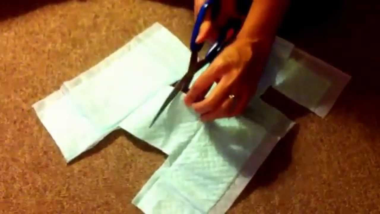 DIY Dog Diaper
 DIY Make Pad Diaper for Dogs Poodle part 1
