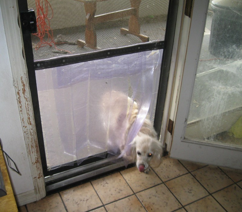 DIY Dog Door Flap
 Easy Inexpensive Doggy Door in a Screen Door