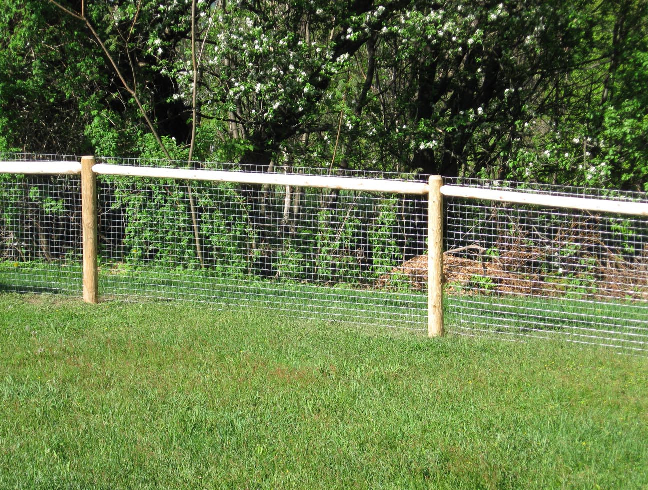 DIY Dog Fencing
 Cheap Fence Ideas For Dogs In DIY Reusable And Portable