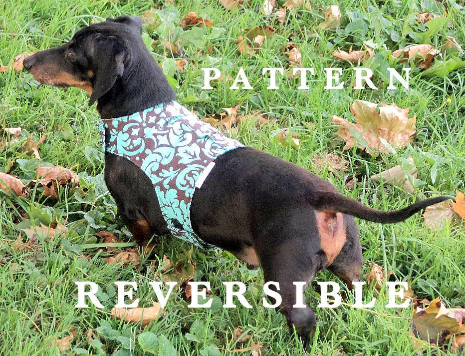 DIY Dog Harness Pattern
 DIY harness small dog sewing pattern leash by WarmWeenies