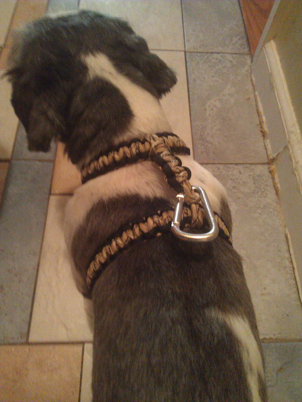 DIY Dog Harness Pattern
 60 Easy Paracord Project Tutorials & Ideas Hative