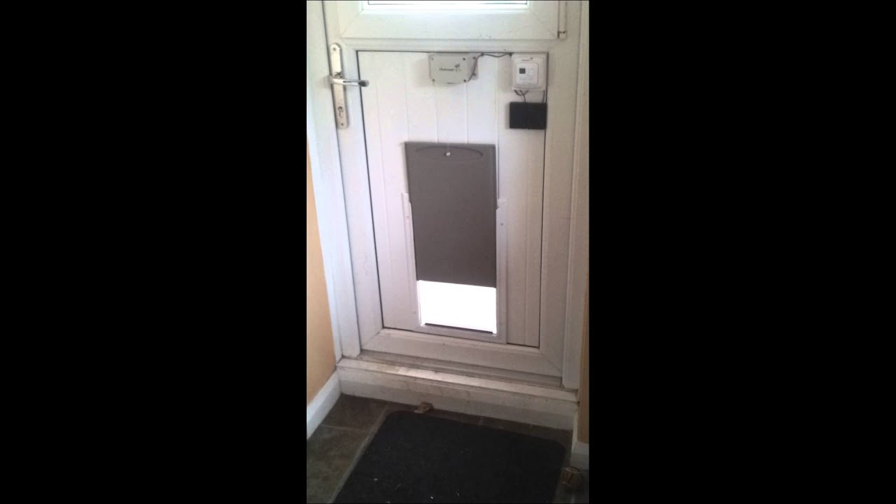 DIY Dog House Door
 DIY Automatic Dog Door