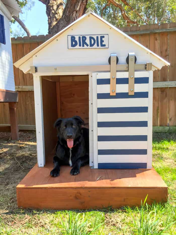 DIY Dog House Door
 DIY Dog House Barn Door Dog House