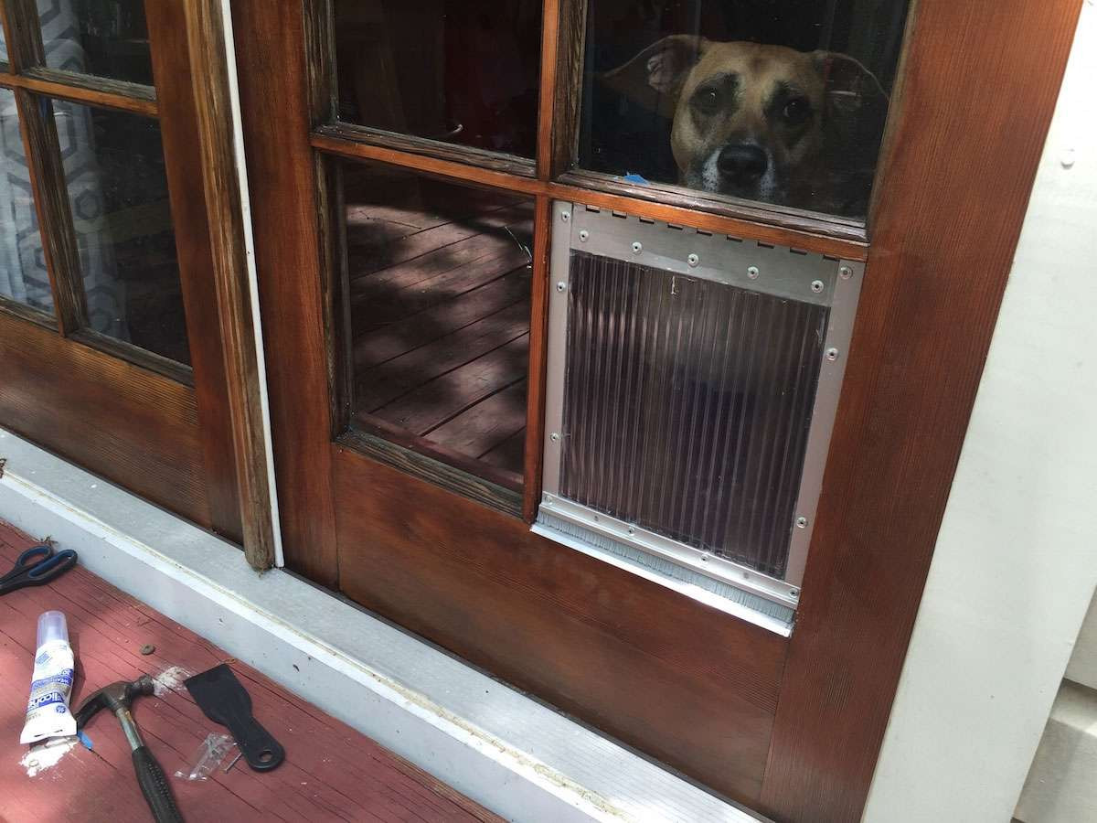 DIY Dog House Door
 DIY dog door for french door window panes howchoo