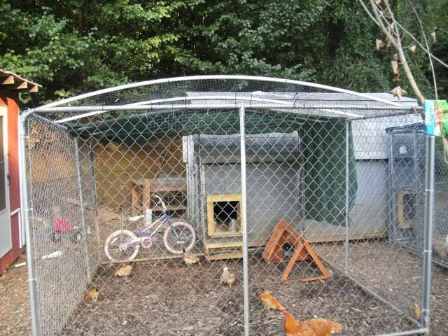 DIY Dog Kennel Roof
 Dog Kennel wire roofing and preditor proofing questions
